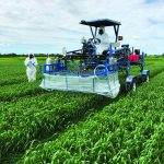 Flag leaf fungicide treatment application at Bon Accord, Alta., on July 2, 2019. The
study showed that when growing season precipitation and humidity are near the
long-term averages, flag leaf and anthesis are the best times to apply fungicides to
minimize yield and quality loss.