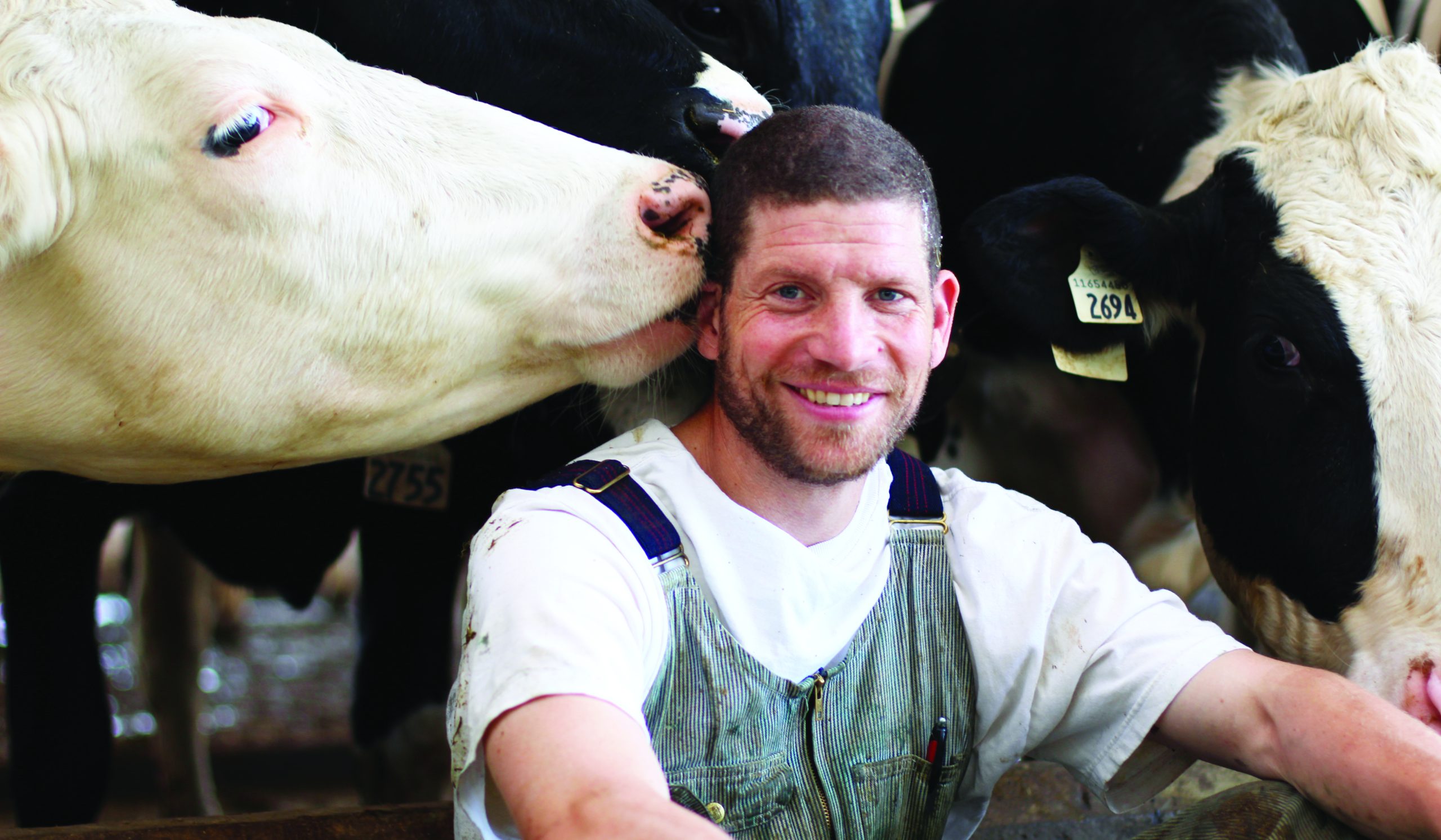 Portrait of Ben Loewith. next to cow.