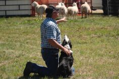 Jared Epp speaks to the crowd at AiM 2022 about stock dogs and herding. (Liam O&#8217;Connor photo)
