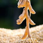 Photo: Thinkstock
