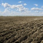 Sustainability must be farmer-driven