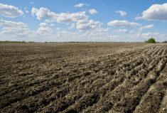 Sustainability must be farmer-driven