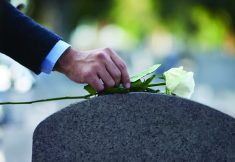 Cropped shot of a man placing a white rose on a grave.