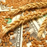 Photo: Thinkstock