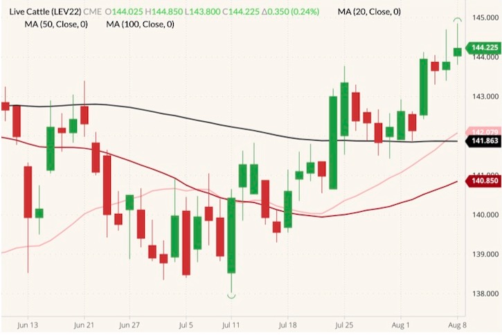 CME October 2022 live cattle (candlesticks) with 20-, 50- and 100-day moving averages (pink, red and black lines). (Barchart)

