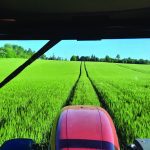 In 2021 Kyle Jewell won gold in winter wheat yield with 4.04 tonnes (148.4 bu.) per acre.