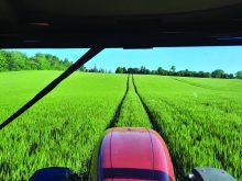 In 2021 Kyle Jewell won gold in winter wheat yield with 4.04 tonnes (148.4 bu.) per acre.