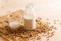File photo of soy-based milk alternatives. (SherSor/iStock/Getty Images)
