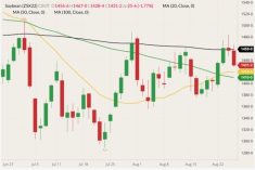 CBOT November 2022 soybeans (candlesticks) with 20-, 50- and 100-day moving averages (yellow, green and black lines). (Barchart)