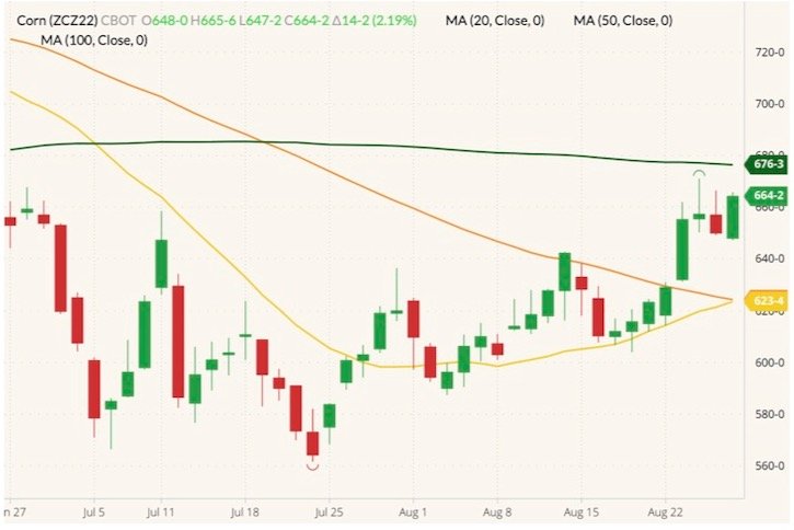 CBOT December 2022 corn (candlesticks) with 20-, 50- and 100-day moving averages (yellow, orange and dark green lines). (Barchart)
