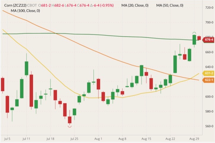 CBOT December 2022 corn (candlesticks) with 20-, 50- and 100-day moving averages (yellow, orange and green lines). (Barchart)
