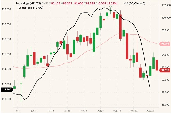 CME October 2022 lean hogs (candlesticks, right column) with 20-day moving average (pink line) and CME’s cash lean hog index (black line, left column). (Barchart)
