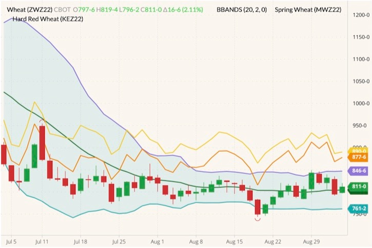 CBOT December 2022 wheat (candlesticks) with Bollinger bands (20,2), MGEX December 2022 spring wheat (yellow line) and K.C. December 2022 hard red wheat (orange line). (Barchart)
