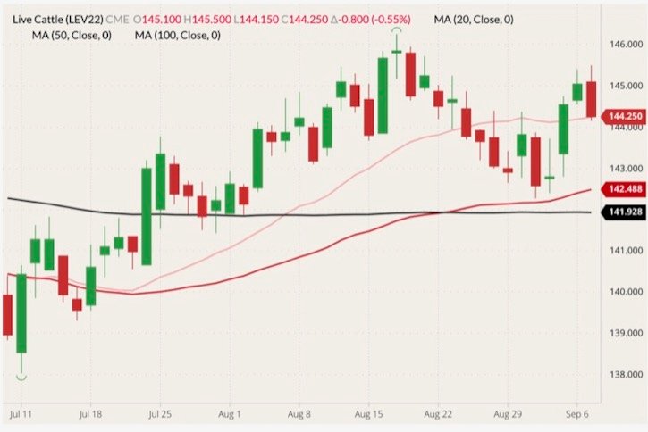 CME October 2022 live cattle (candlesticks) with 20-, 50- and 100-day moving averages (pink, dark red and black lines). (Barchart)

