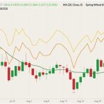 CBOT December 2022 wheat (candlesticks) with 20-day moving average (green line), MGEX December 2022 spring wheat (yellow line) and K.C. December 2022 hard red wheat (orange line). (Barchart)