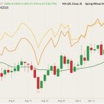 CBOT December 2022 soft red winter wheat (candlesticks) with 20-day moving average (dark green line), MGEX December 2022 hard red spring wheat (yellow line) and K.C. December 2022 hard red winter wheat (orange line). (Barchart)