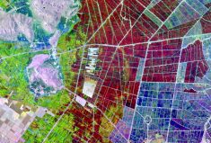 The trick with satellite imagery is to get to the point where there’s an identified value that gets the grower into a field to ground-truth the information.