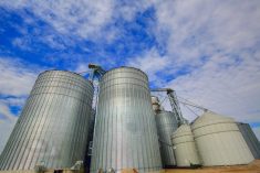 Market volatility has continued in 2022 and grain experts from across the country say most farmers are reacting in one of two ways.