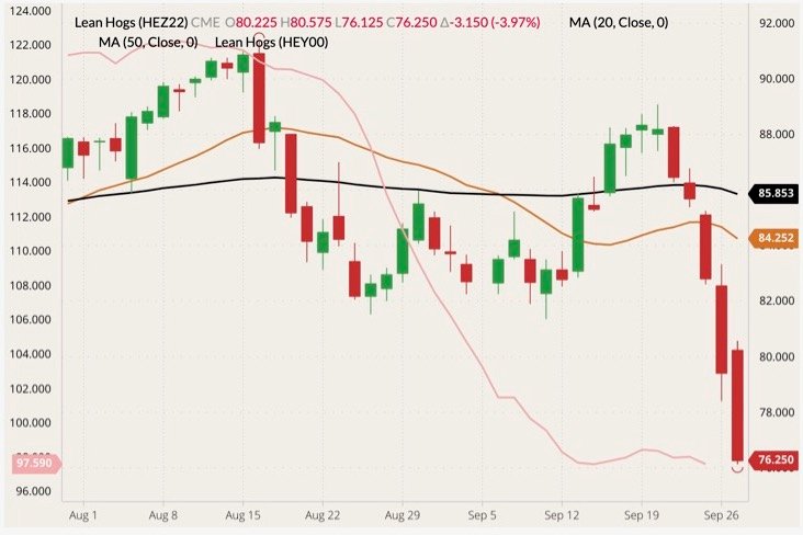 CME December 2022 lean hogs (candlesticks) with 20- and 50-day moving averages (brown and black lines, right column) and CME cash Lean Hog Index (pink line, left column). (Barchart)

