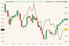 ICE November 2022 canola (candlesticks) with 20-day moving average (yellow line, right column) and NYMEX November 2022 West Texas intermediate crude (black line, left column). (Barchart)
