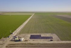 In 2022, Nitricity will test production on 75 acres at Terra Nova Ranch in the central San Joaquin Valley of California, using the Nitricity system on 25 of those acres.