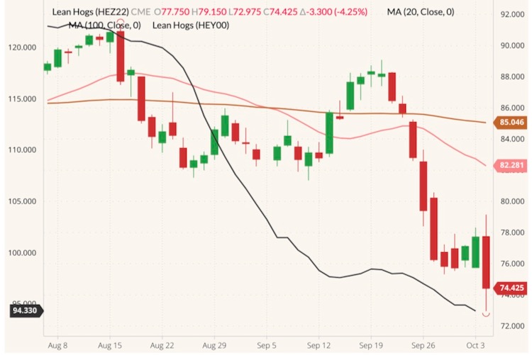 CME December 2022 lean hogs (candlesticks) with 20- and 100-day moving averages (pink and brown lines, right column) and CME cash Lean Hog Index (black line, left column). (Barchart)
