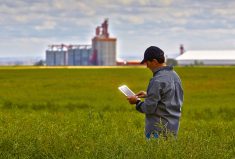 “When you see prices go up, sell another chunk, because the price won’t stay up. If you can make money at a certain price, consider selling to free up storage.” — Neil Townsend, FarmLink Marketing Solutions.