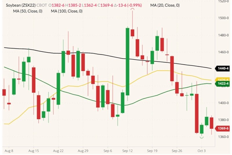 CBOT November 2022 soybeans (candlesticks) with 20-, 50- and 100-day moving averages (yellow, green and black lines). (Barchart)
