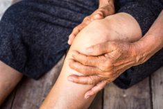 Guide Health: The ache of osteoarthritis