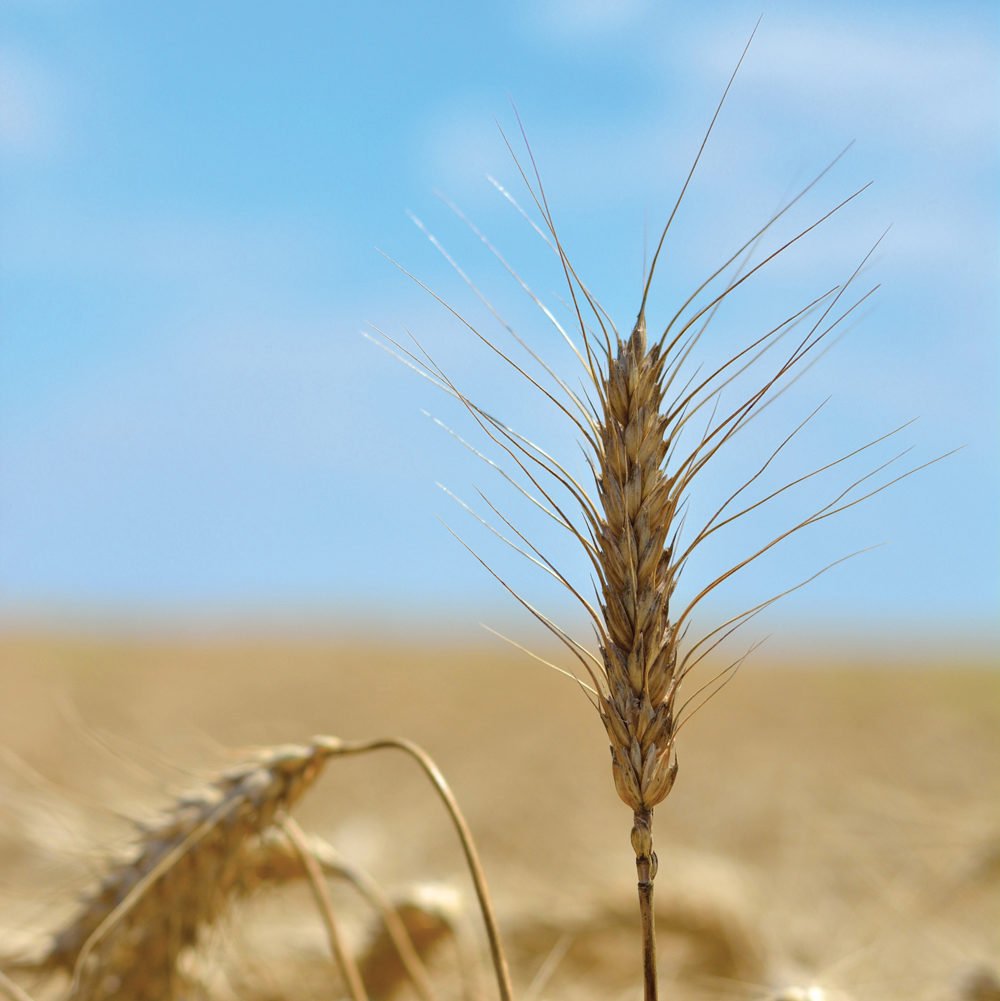 Photo: Thinkstock
