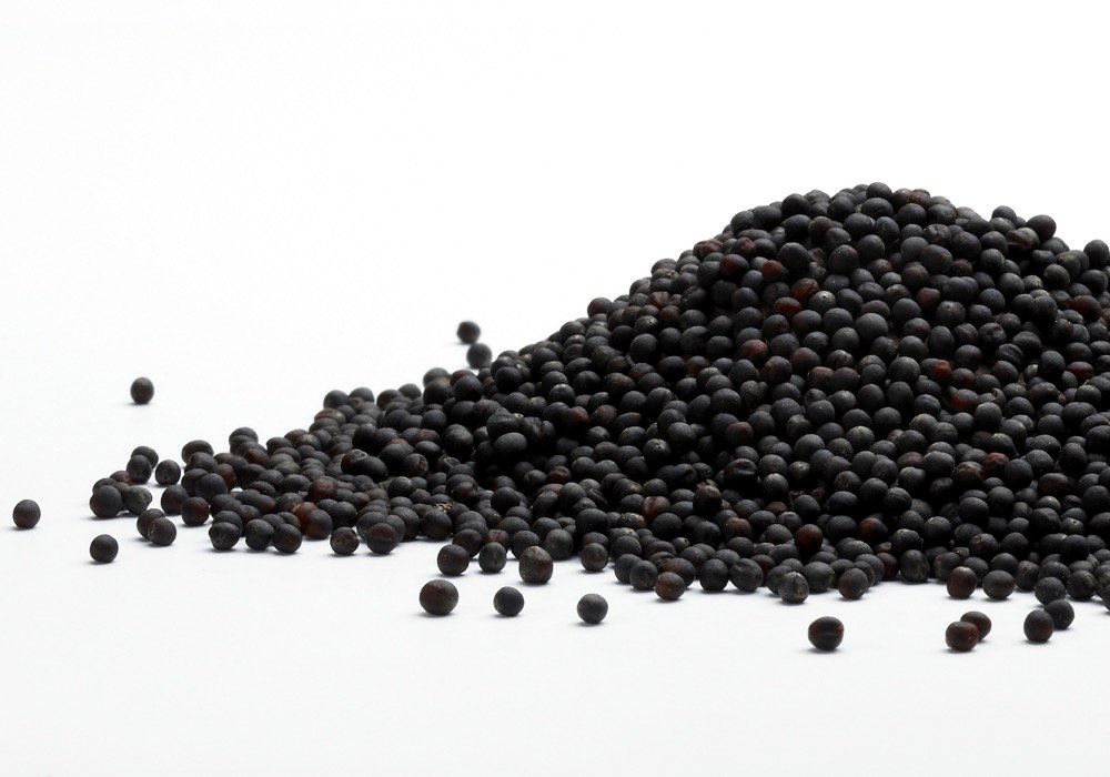 Photo: iStock

