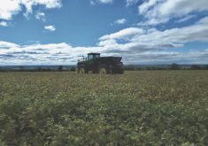 Reuben Stone tends to broadcast rye into his soybeans roughly four to five weeks prior harvesting the soybeans.