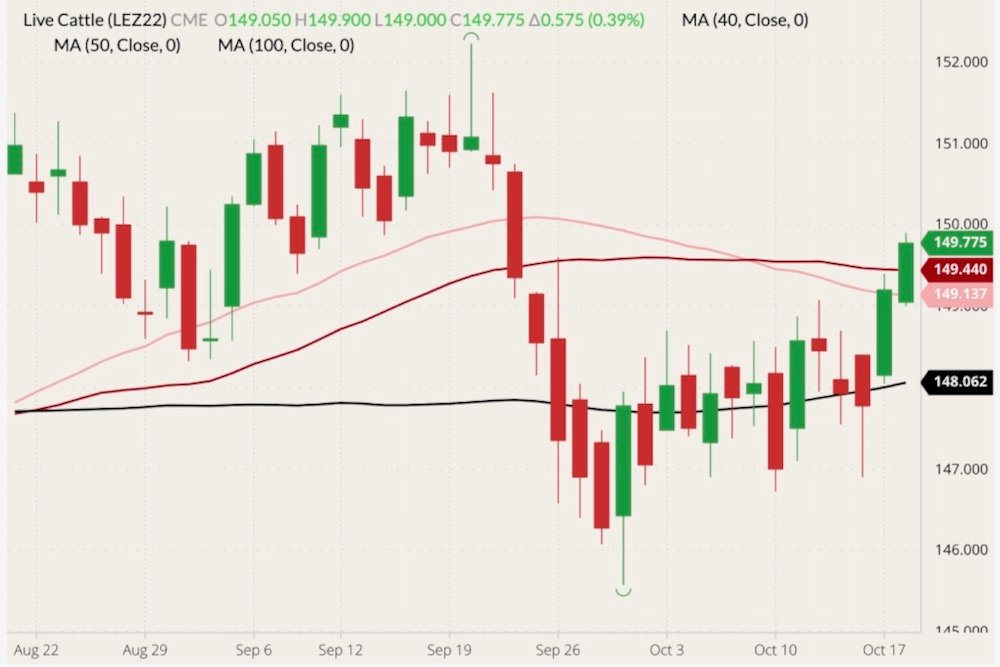 CME December 2022 live cattle (candlesticks) with 40-, 50- and 100-day moving averages (pink, dark red and black lines). (Barchart)
