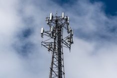 (SaskTel.com)