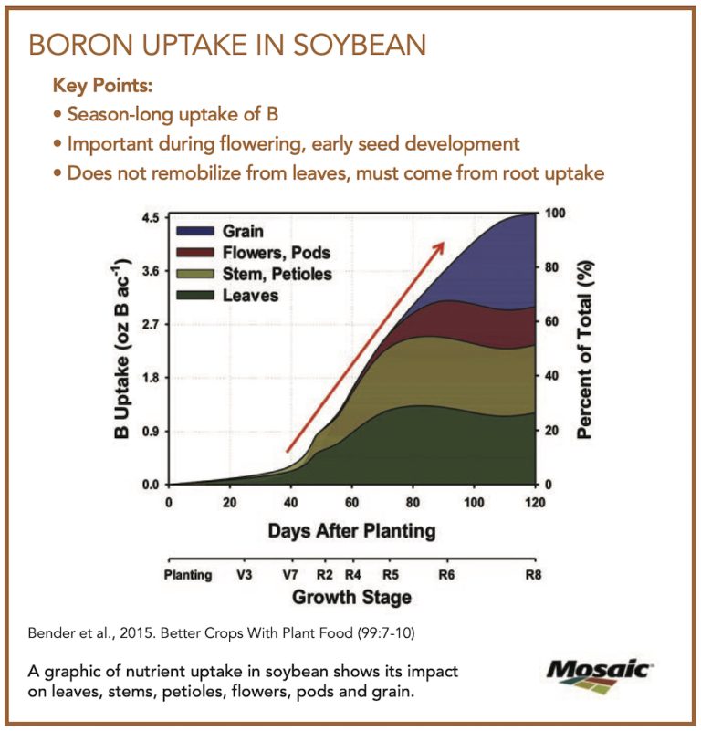 Boron. An (micro) nutrient for soybeans Country Guide