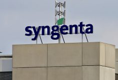 Syngenta’s headquarters in Basel, Switzerland, August 2019.  Photo: Reuters/Arnd Wiegmann