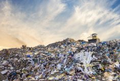 Circular food systems establish collaborative networks to keep nutrients cycling through the system, thus reducing the amount of waste that goes to landfill.