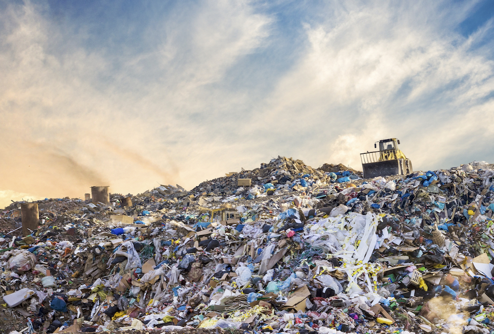 Circular food systems establish collaborative networks to keep nutrients cycling through the system, thus reducing the amount of waste that goes to landfill.