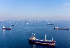 Commercial vessels including vessels which are part of Black Sea grain deal wait to pass the Bosphorus strait off the shores of Yenikapi during a misty morning in Istanbul, Turkey, October 31, 2022.  Photo: Reuters/Umit Bektas
