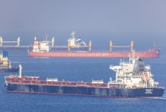 Cargo ship Despina V, carrying Ukrainian grain, is seen in the Black Sea off Kilyos near Istanbul, Turkey November 2, 2022.  Photo: Reuters/Umit Bektas
