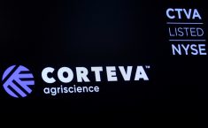 The logo and trading info for Corteva Agriscience displayed on the New York Stock Exchange in New York.  Photo: Reuters/Brendan McDermid