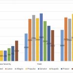Figure 1: White mould disease severity (AUDPC1), dry bean yield (kg/ha) and return on investment ($/ha) at Huron Research Station, 2012-13. (Bars within a group (location and year) with the same letter are not significantly different (P