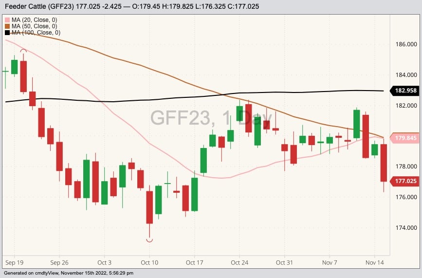 CME January 2023 feeder cattle with 20-, 50- and 100-day moving averages. (Barchart)
