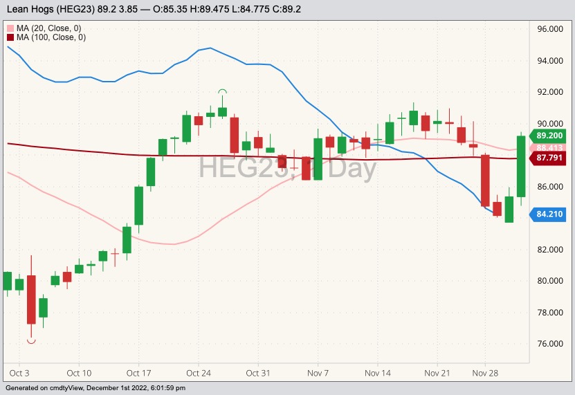 CME February 2023 lean hogs with 20- and 100-day moving averages and CME cash lean hog index (blue line). (Barchart)
