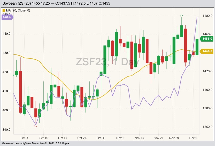 CBOT January 2023 soybeans (candlesticks, right column) with 20-day moving average (yellow line) and CBOT January 2023 soybean meal (purple line, left column). (Barchart)
