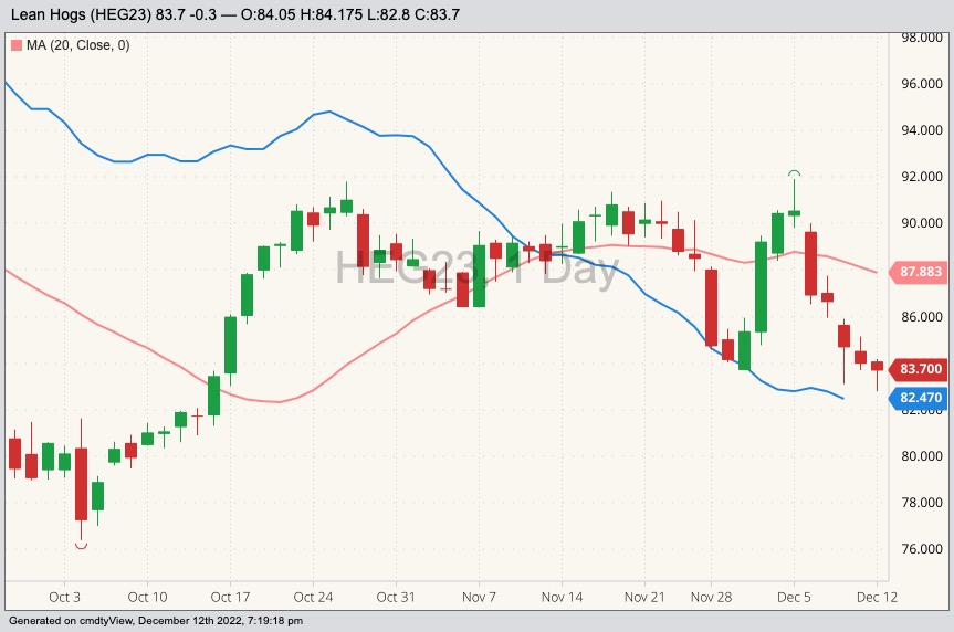 CME February 2023 lean hogs with 20-day moving average (pink line) and CME cash lean hog index (blue line). (Barchart)
