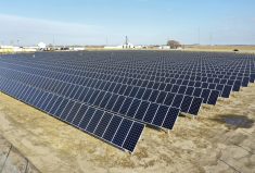 solar panels