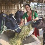 Nepalese small dairy farmers are being trained in sustainable and profitable production methods thanks in part to a grant from the AGCO Agriculture Foundation.