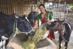 Nepalese small dairy farmers are being trained in sustainable and profitable production methods thanks in part to a grant from the AGCO Agriculture Foundation.