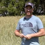 Organic grazing and soil health